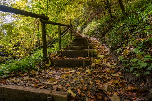 Fantastic autumn hike along the Aachtobel to the Hohenbodman observation tower near Lake Constance