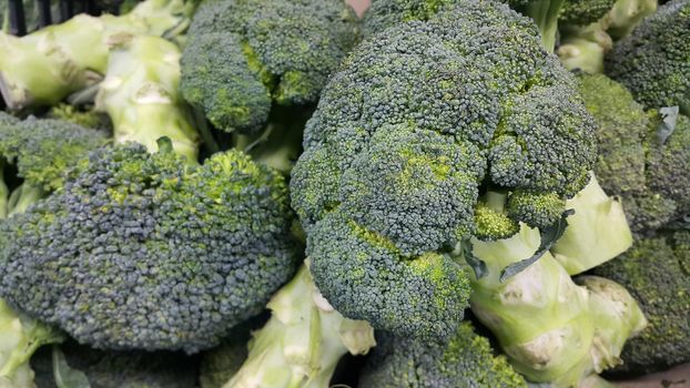 Green fresh broccoli pile placed in market for sale. A Close up top view