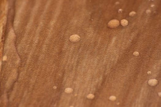 Closeup selective focus view of water drops on wooden floor. Abstract raindrops pattern on wooden board