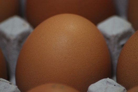 Closeup view with selective focus on fresh farm chicken eggs in an egg-carton or egg holder or paper tray placed in market for sale