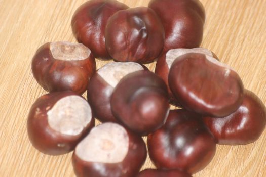 Chestnut and chestnut pod with spines on a wooden floor. Close-Up of bunch of dried chestnut fruits over wooden background.