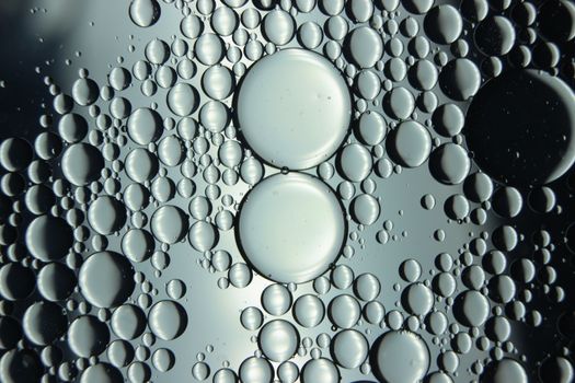 abstract macro background of oil circles floating over water surface . Macro closeup view of bubbles on water . oil bubbles in the water macro photographic background