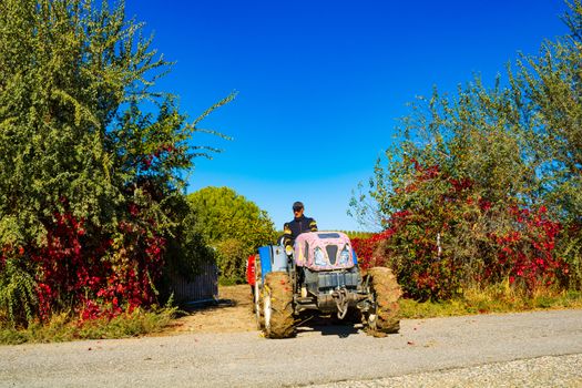 Man driving a tractor.