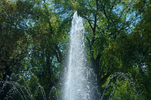 Abstract of water. Water splash close-up.Frozen water drops on the background of green trees.The slow dripping of the liquid with the air bubbles.Nature background or Wallpaper.Frozen liquid splashes