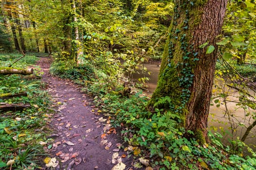 Fantastic autumn hike along the Aachtobel to the Hohenbodman observation tower near Lake Constance