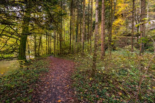 Fantastic autumn hike along the Aachtobel to the Hohenbodman observation tower near Lake Constance