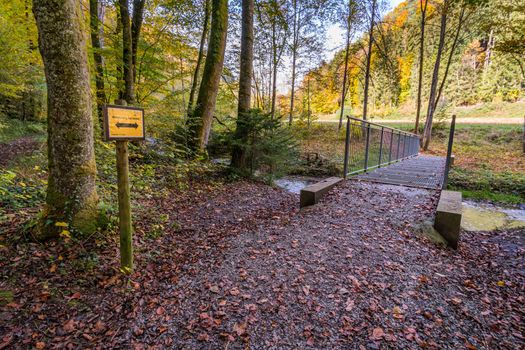 Fantastic autumn hike along the Aachtobel to the Hohenbodman observation tower near Lake Constance