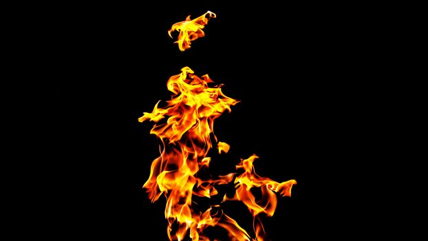 Fire flames on black background isolated. Burning gas or gasoline burns with fire and flames. Flaming burning sparks close-up, fire patterns. Infernal glow of fire in the dark with copy-space