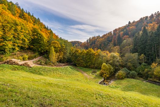 Fantastic autumn hike along the Aachtobel to the Hohenbodman observation tower near Lake Constance