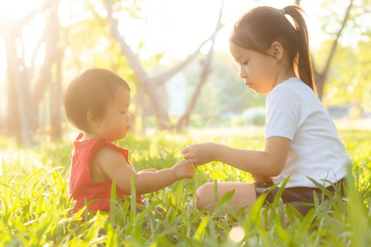 Beautiful young asian kid sitting playing in summer in the park with enjoy and cheerful on green grass, children activity with relax and happiness together on meadow, family and holiday concept.