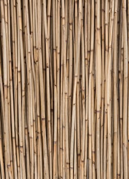 Old dry straw background, bamboo wall texture. Eco natural background concept
