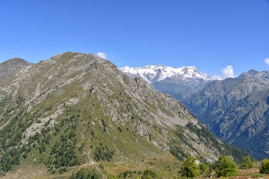 Monterosa seen from the Gressoney valley