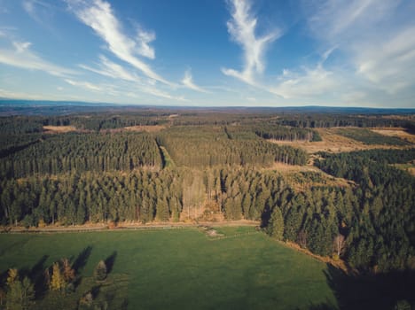 Aerial of pine forest and meadow and pasture in the Ardennes, Belgium. Beauty in nature.