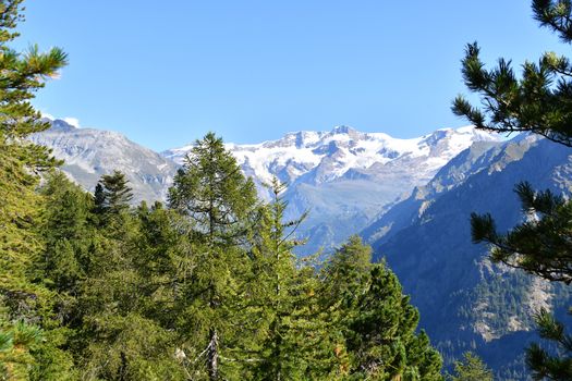 Monterosa seen from the Gressoney valley