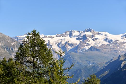 Monterosa seen from the Gressoney valley