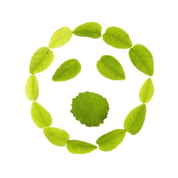 leaves emoji with a smile, creative concept
