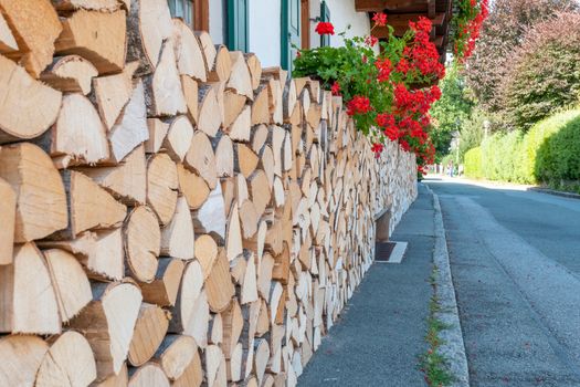 Firewood in exactly the same length stacked on a house wall, which looks decoratively beautiful with flowers and windows on a house wall.