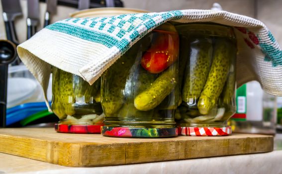 canned homemade pickles and tomatoes,