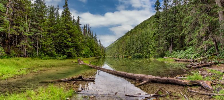 Beautiful panoramic landscape of Icy Lake in Alaska near Skagway. Lush green forest surrounding the lake. Fallen tree in the water. Blue cloudy sky as a background.