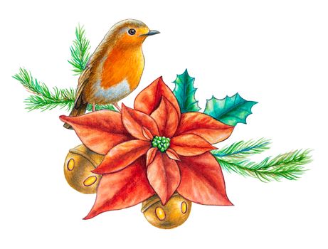 Watercolor Christmas composition with an european robin. Traditional watercolor illustration.