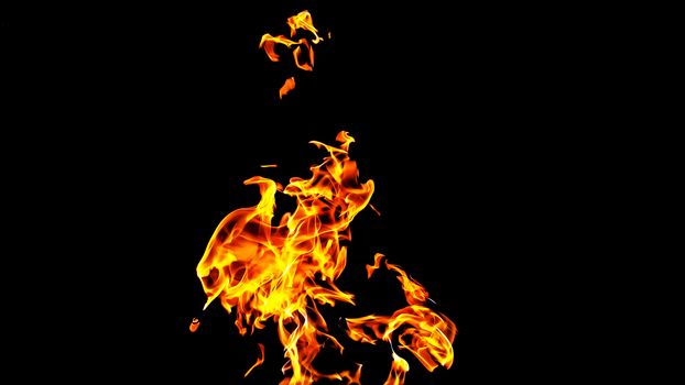 Fire flames on black background isolated. Burning gas or gasoline burns with fire and flames. Flaming burning sparks close-up, fire patterns. Infernal glow of fire in the dark with copy-space