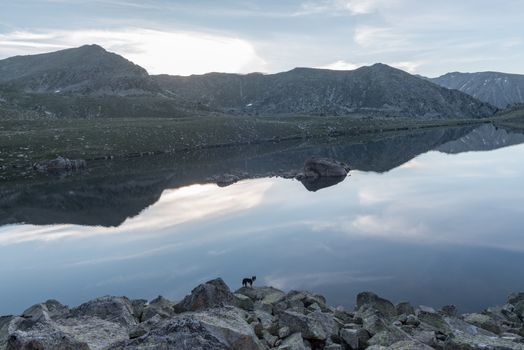 Landscape in Montmalus Lake in summer on Andorra.