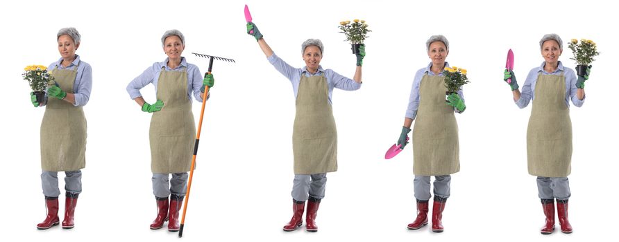 Gardening. Mature woman gardener worker with flowers rake scoop set collection design element isolated on white background