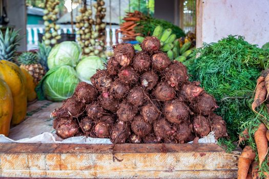 Neat group of taro in the foreground, surrounded by papayas, cabbages, carrots, pineapples, bananas and onions..