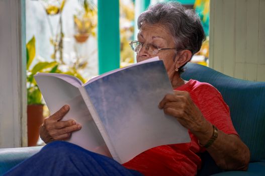 Senior woman wearing eyeglasses sitting reading a book