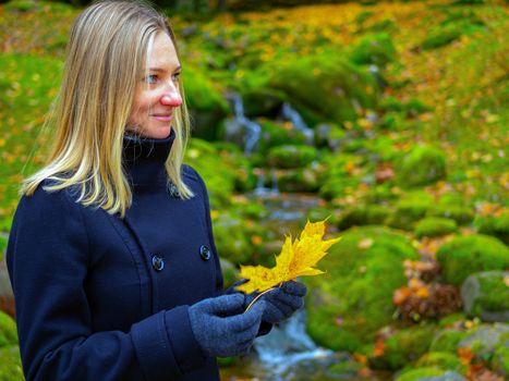 Young woman picks up fallen colorful autumn leaves. Girl collect yellow leaf. woman walking in the autumn Park