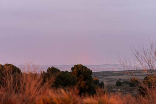 Wind farm at sunset