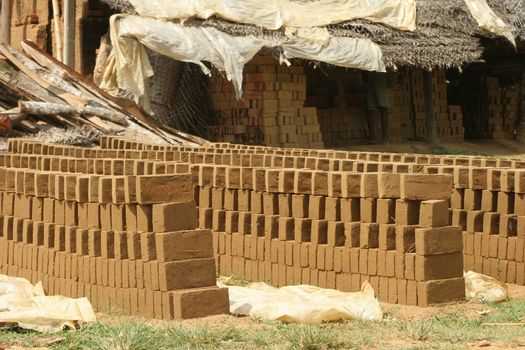 Sri Lanka 4.5.2006 manufacture of traditional mud bricks for building. High quality photo