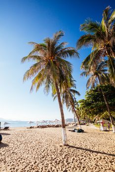 Nha Trang, Vietnam - September 26, 2018: The promenade and main beach of Nha Trang on a warm September day