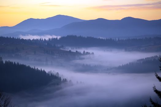 Morning fog. Morning landscape in the mountains. Dawn in the mountains. The morning sun in the fog. Colorful dawn.