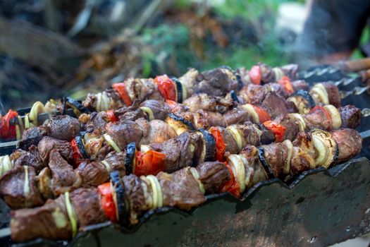 Skewers uncooked in nature on skewers in the open air. Shish kebab on the nature raw on the grill on a spit closeup. Shashlik shashlyk with onions and tomatoes and eggplant