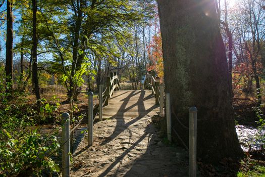 A Wooden Bridge on a Clear Autumn Day With the Sun Shining Brightly Behind a Tree at Valley Forge National Historical Park