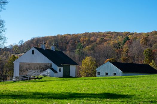 Two White Barns With a Hill Covered in Autumn Trees at Knox's Quarters at Valley Forge National Historical Park