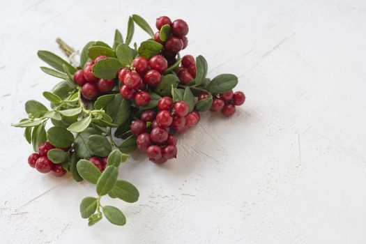 Cranberries and lingonberry. Set of wild northern berries. Clipping paths, shadows separated.