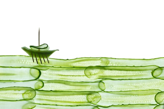 fresh sliced cucumber isolated on white background. Top view.