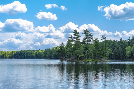A small island on a forest lake where they grow under a blue sky with white clouds, among stones, pines and spruce
