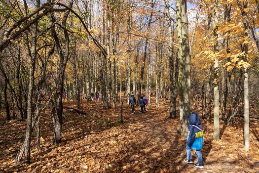 

For children, an excursion to the forest, on a warm autumn day it is a holiday