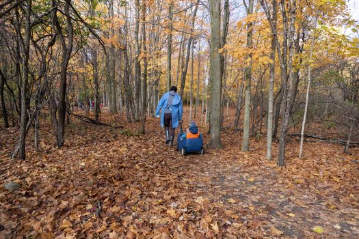 A trip to the autumn grove for the little ones children