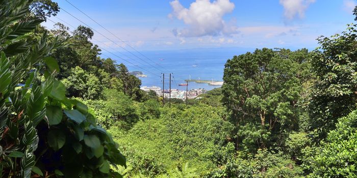 Beautiful impressions of the tropical landscape paradise on the Seychelles islands