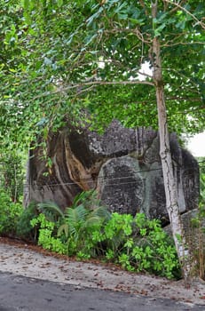 Beautiful impressions of the tropical landscape paradise on the Seychelles islands