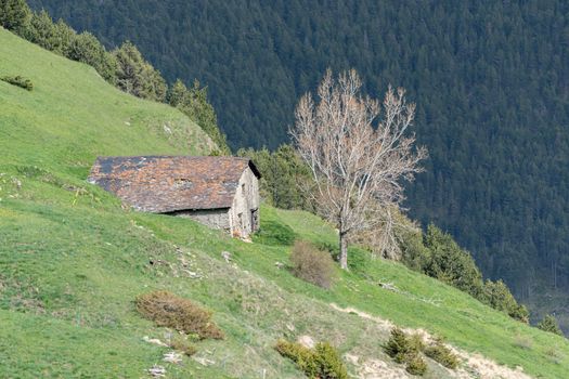 Old House in Montaup river in Canillo, Andorra in spring.