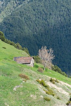 Old House in Montaup river in Canillo, Andorra in spring.