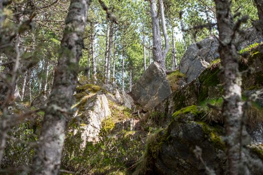 Canillo, Andorra : 2 MAY 2020 : Sunny day in the roc de les Bruixes is a set of prehistoric rock engravings from the Bronze Age in Prats, Canillo, Andorra.