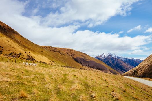 The stunning idyllic Moke Lake near Queenstown in Otago, New Zealand. This secluded, peaceful lake is a popular locale for camping, boating, hiking & horseback riding.