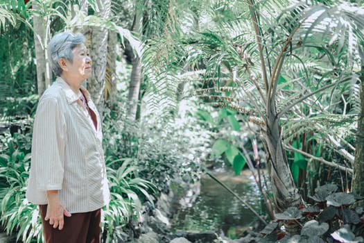 elder woman resting in garden. asian elderly female relaxing outdoors. senior leisure lifestyle