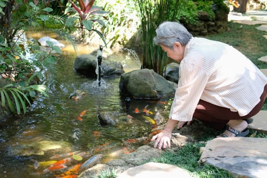 asian old asian elderly senior elder woman looking at koi fish in pond